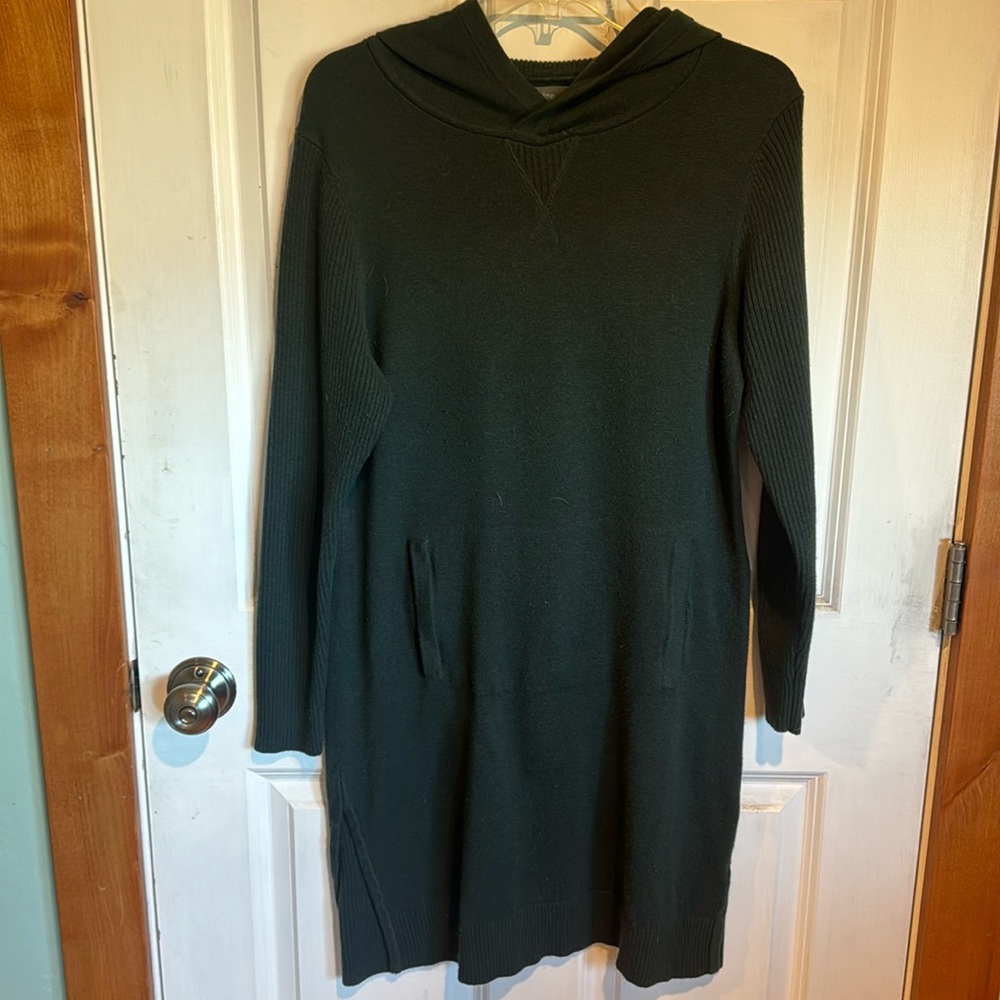 Title Nine Merino Wool Hoodie in Large